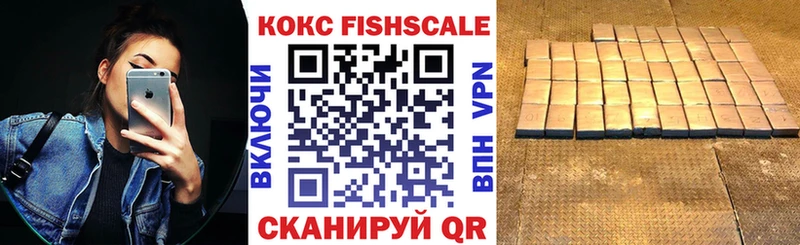 купить закладку  мега как зайти  Кокаин Fish Scale  Нытва 