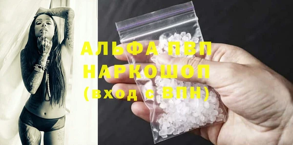 эйфоретик Богданович