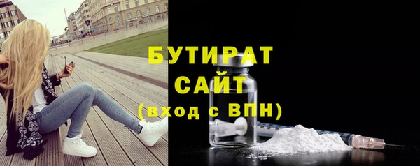 гидра Богородицк