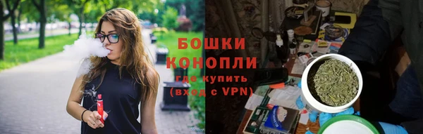 гидра Богородицк