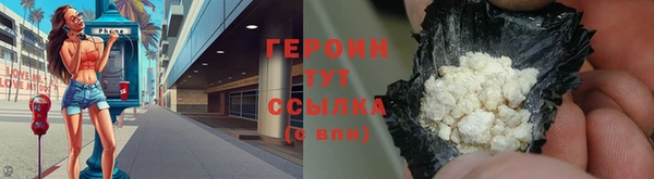гидра Богородицк