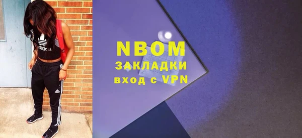 гидра Богородицк