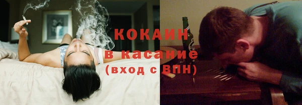 гидра Богородицк