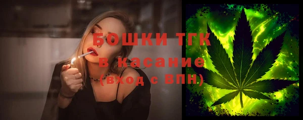 эйфоретик Богданович