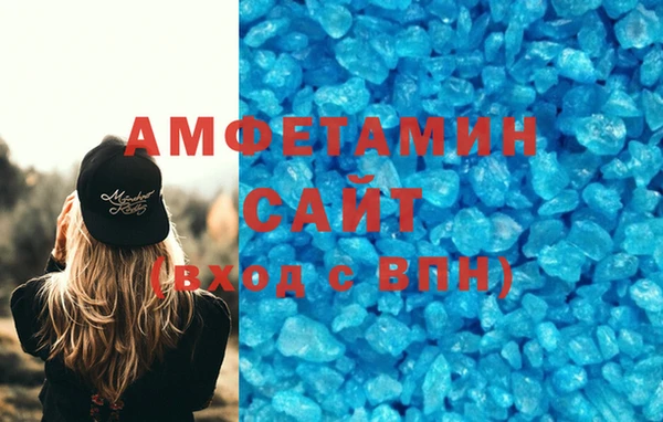 гидра Богородицк