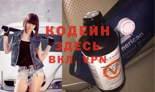 гидра Богородицк