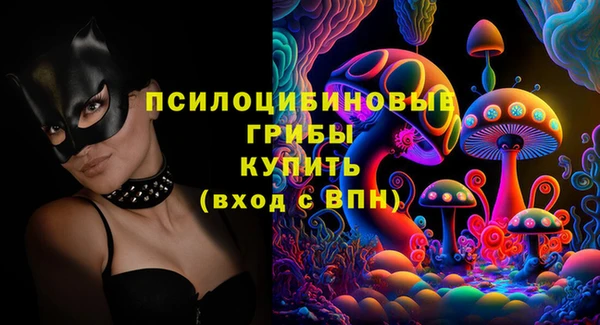 эйфоретик Богданович