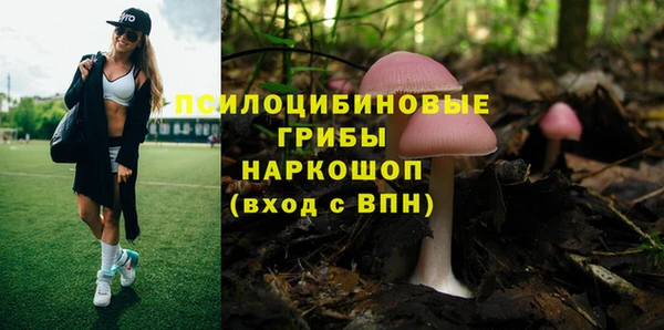 гидра Богородицк