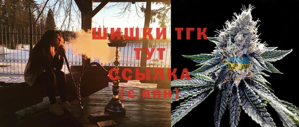 mix Богородск