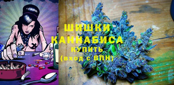 гидра Богородицк