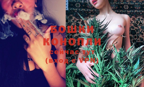 mix Богородск