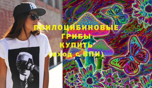 mix Богородск
