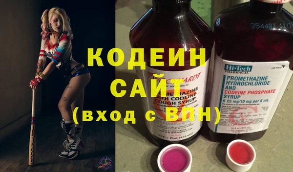 гидра Богородицк