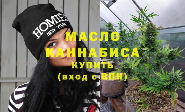 гидра Богородицк