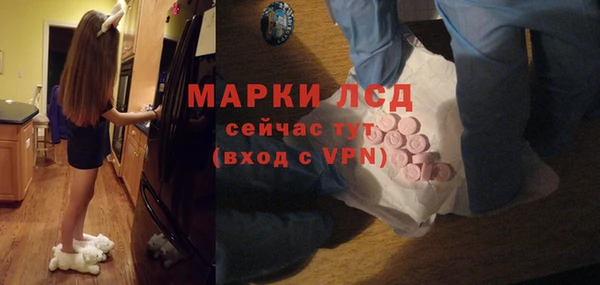 эйфоретик Богданович
