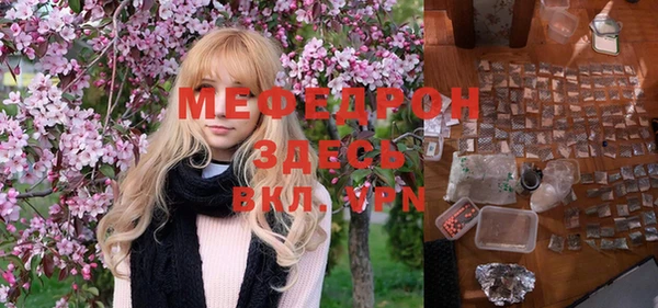 гидра Богородицк